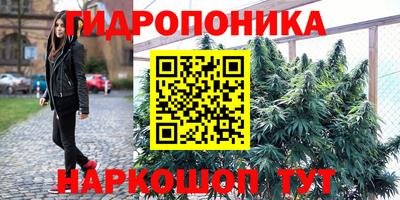 прущие грибы Кумертау
