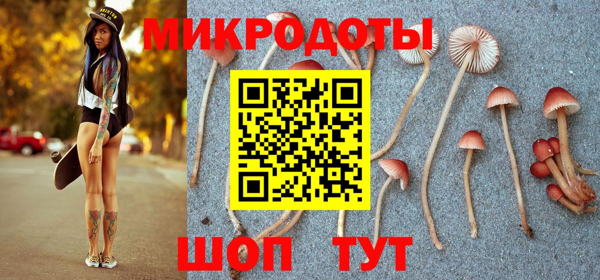 Галлюциногенные грибы GOLDEN TEACHER  Вход с VPN  дарнет шоп  Псилоцибиновые грибы мухоморы  Избербаш 